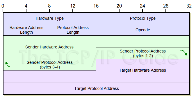 What Is The Arp Program