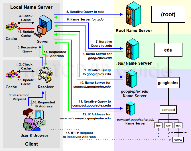 Dns Chart