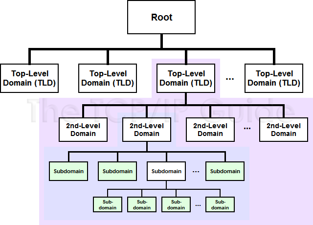 Understanding Domain Names and The Domain Naming Structure